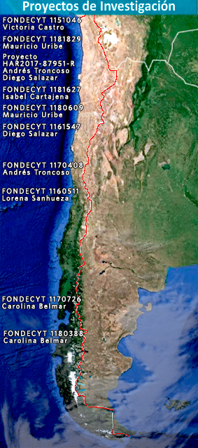 mapa 2019